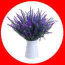 Lavandas de Provence