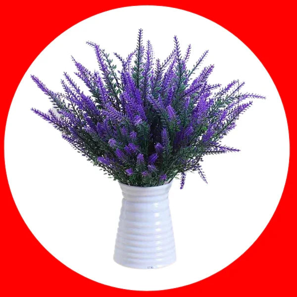 Lavandas de Provence