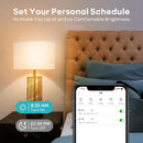 FireColor WiZ- Lâmpada
