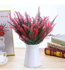 Lavandas de Provence