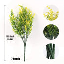 Lavandas de Provence