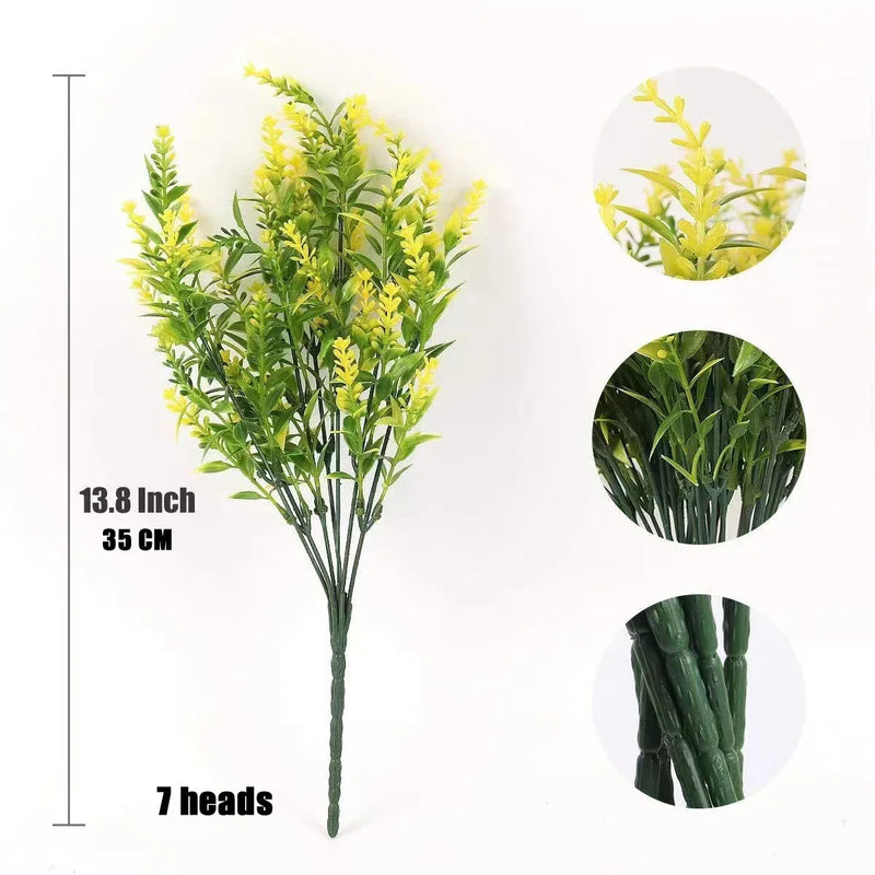 Lavandas de Provence