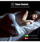 FireColor WiZ- Lâmpada