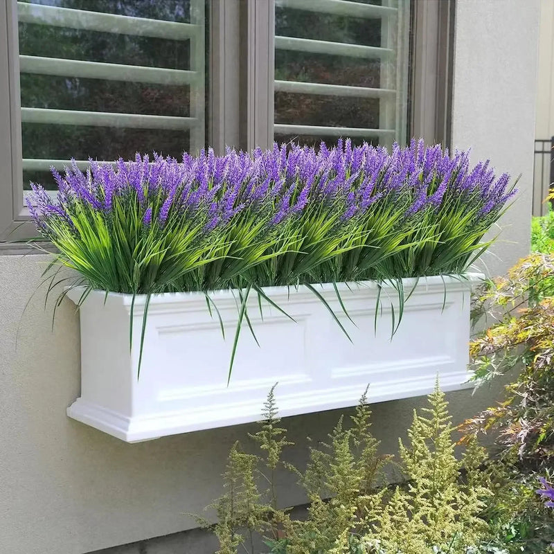 Lavandas de Provence